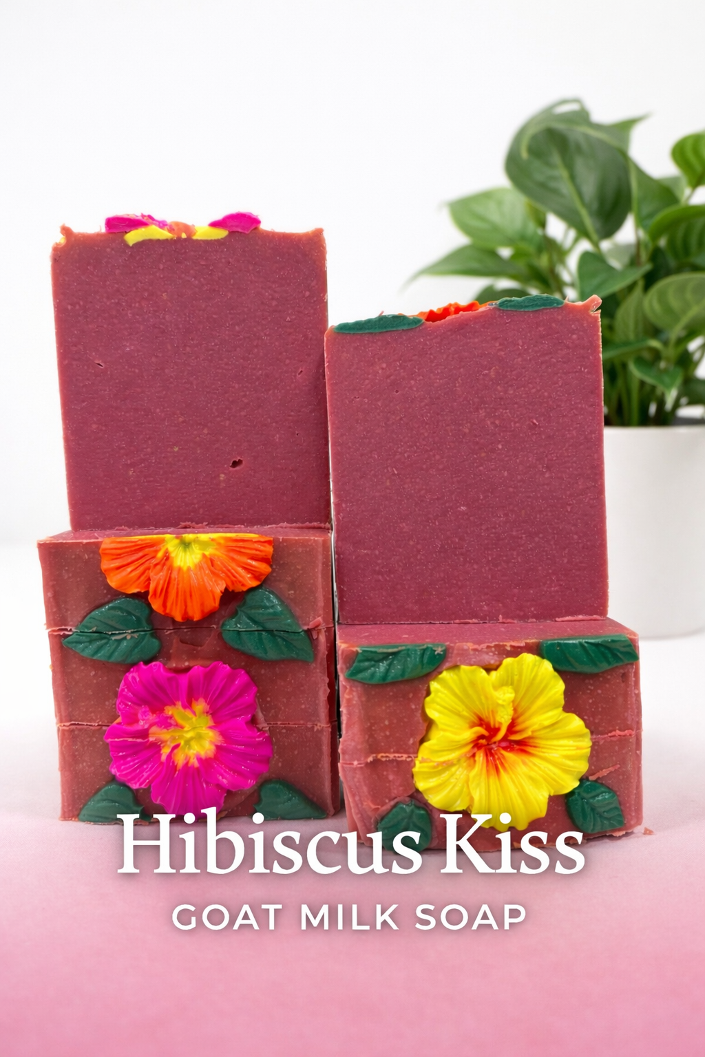 Hibiscus Kiss