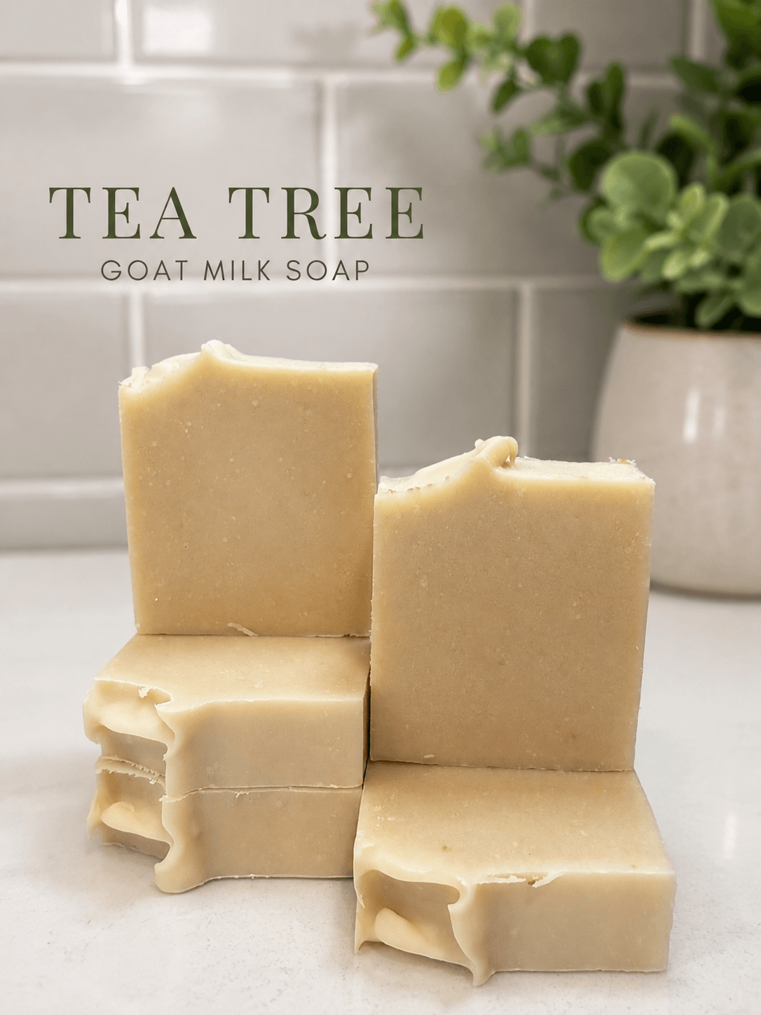 Tea Tree
