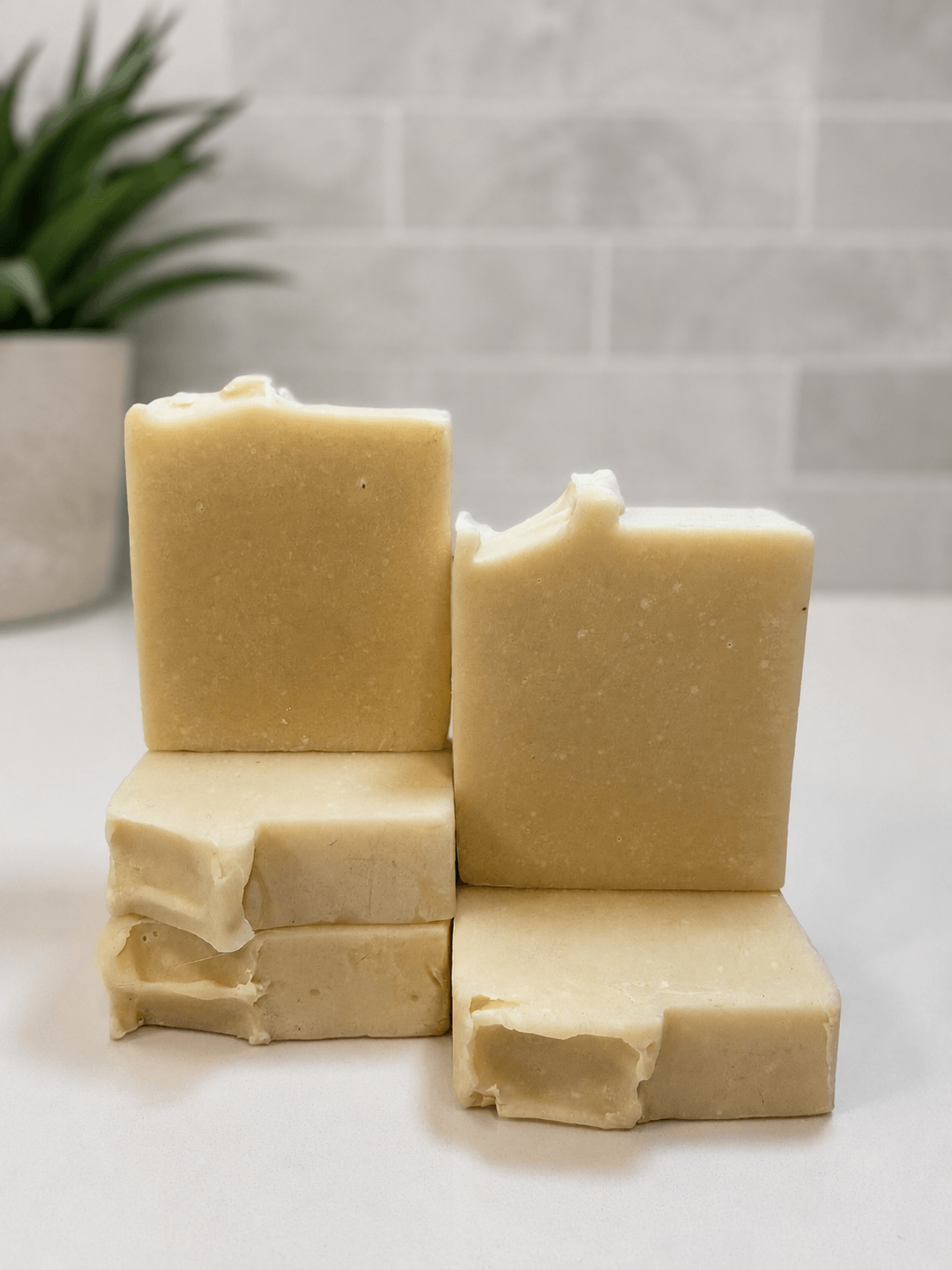 Unscented Goat Milk & Tallow Shampoo Bar